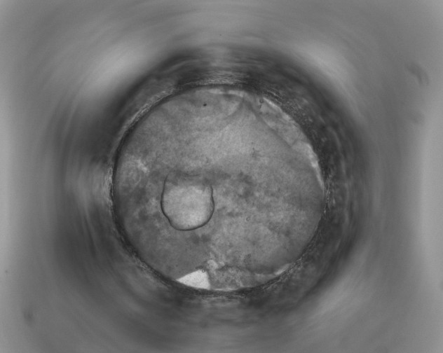 X0000114580146200911091243