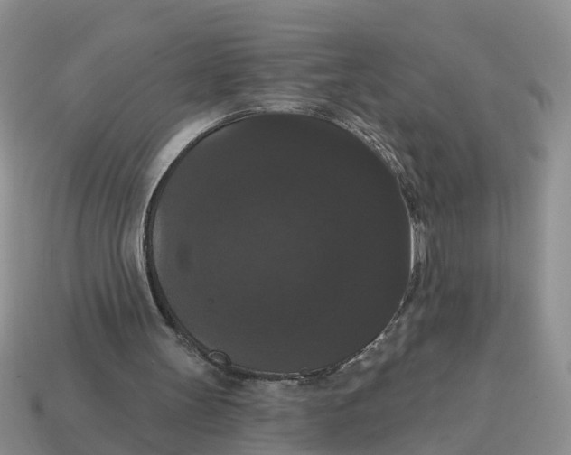 X0000114580147200911091243