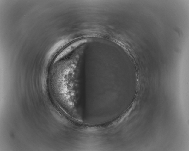 X0000114580149200911091243