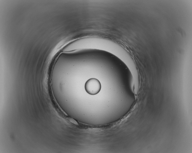 X0000114580150200911091243