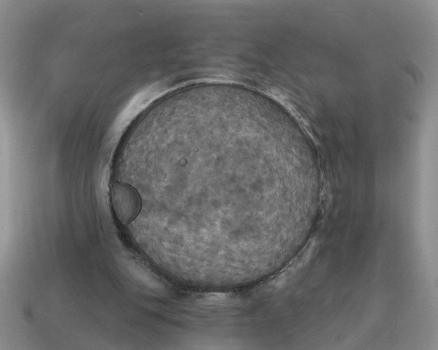 X0000114580151200911091243