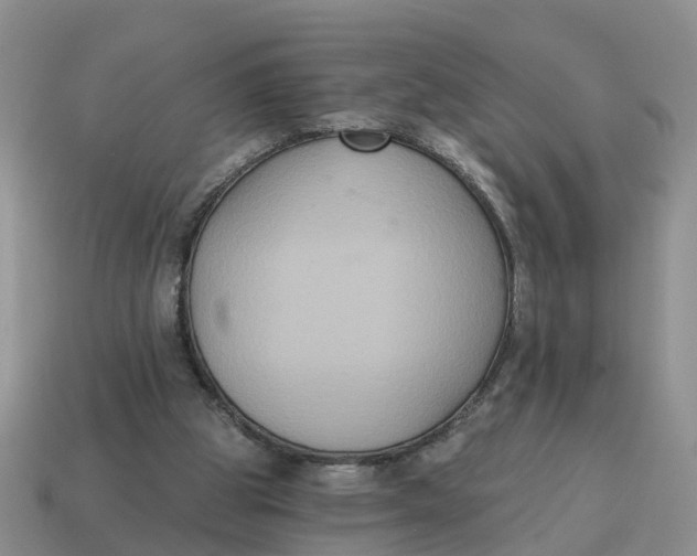 X0000114580153200911091243