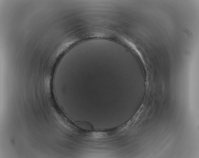 X0000114580154200911091243