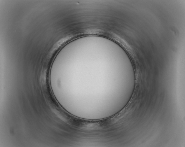 X0000114580155200911091243