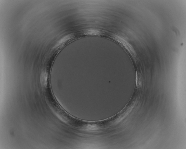 X0000114580157200911091243