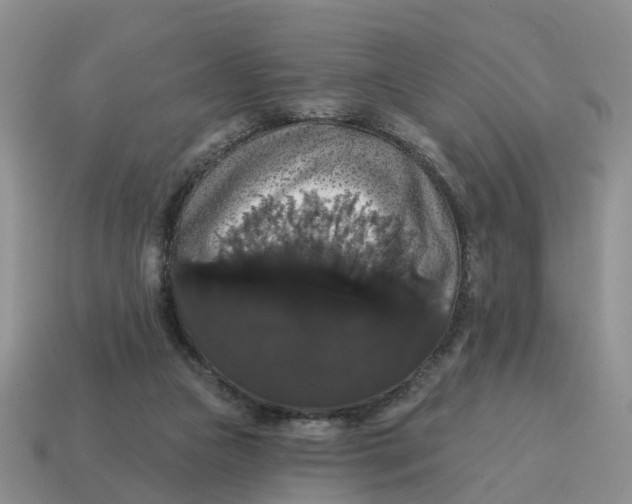 X0000114580161200911091243