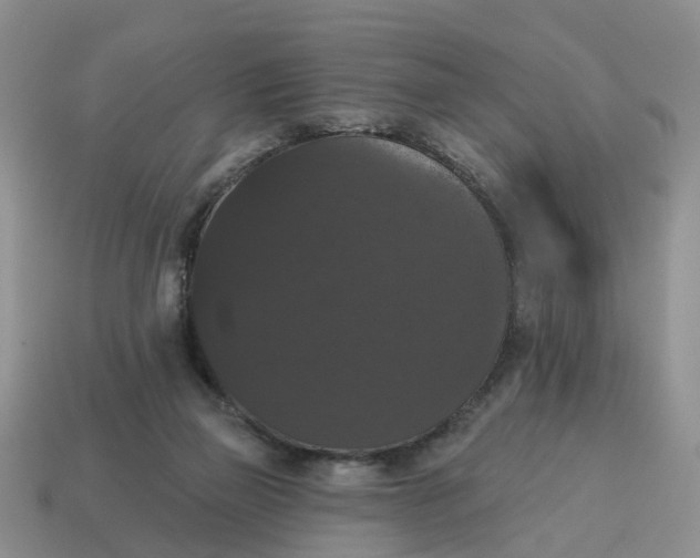 X0000114580165200911091243