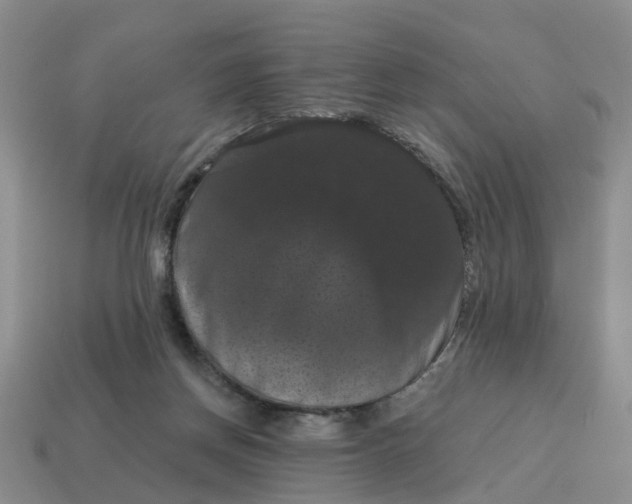 X0000114580166200911091243