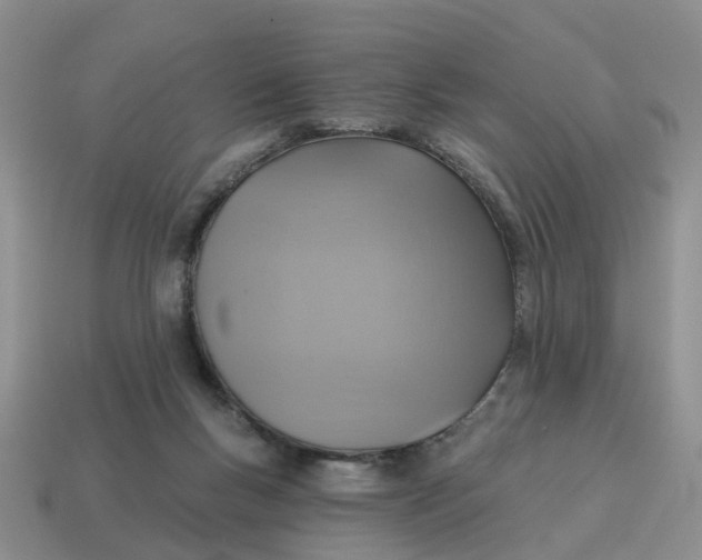 X0000114580167200911091243