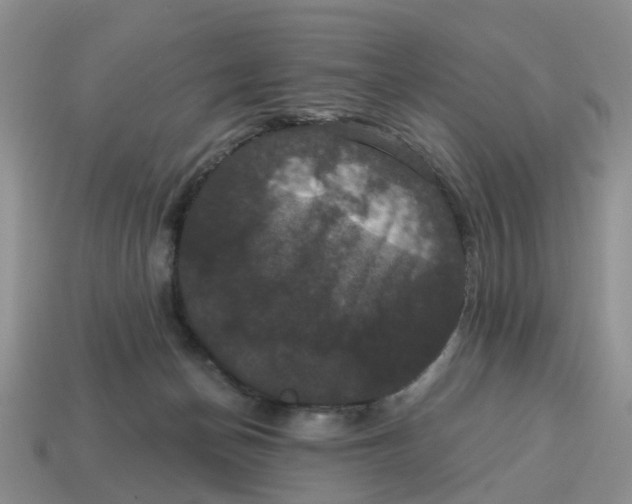 X0000114580174200911091243