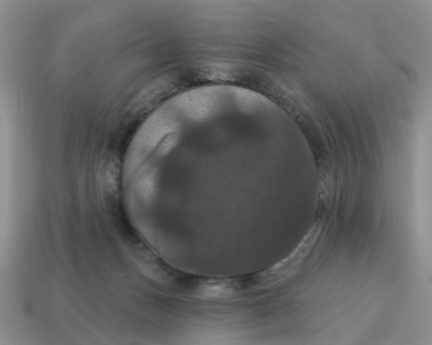 X0000114580175200911091243