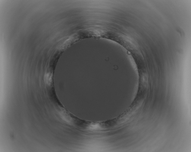 X0000114580177200911091243