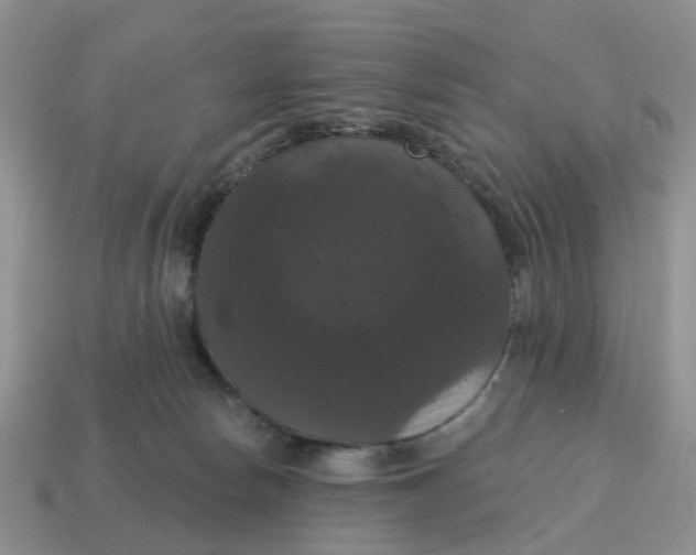 X0000114580178200911091243