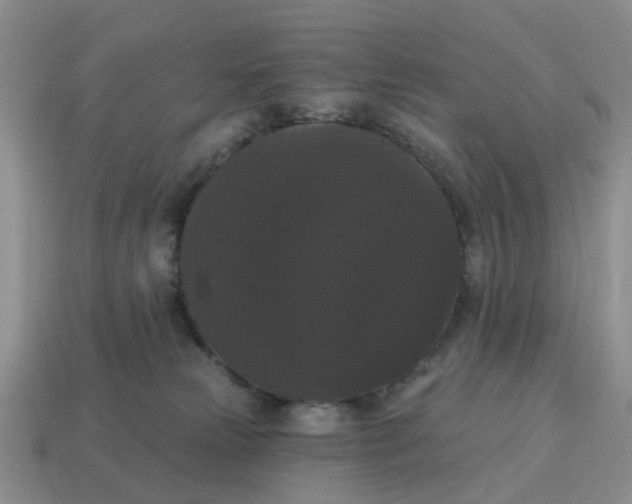 X0000114580181200911091243