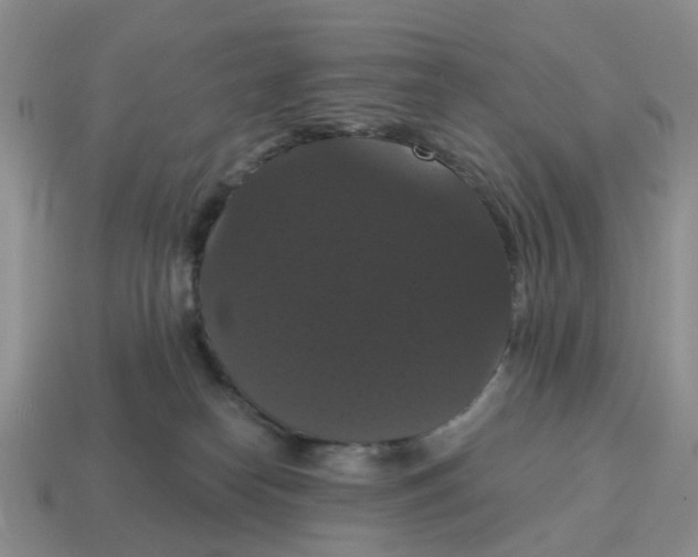 X0000114580182200911091243