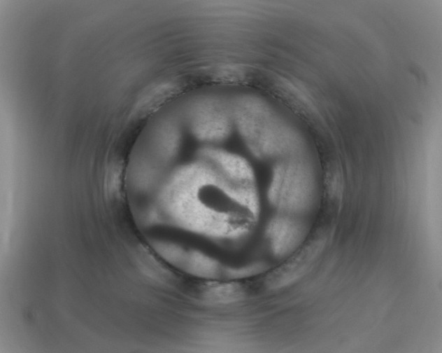 X0000114580185200911091243