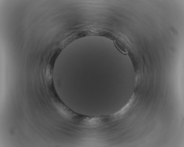 X0000114580186200911091243