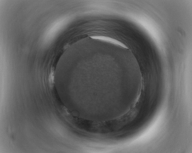 X0000114580190200911091243