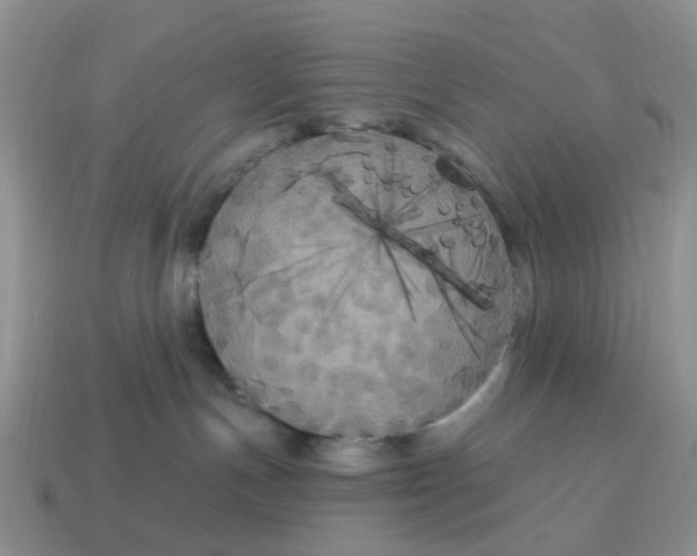 X0000114580191200911091243