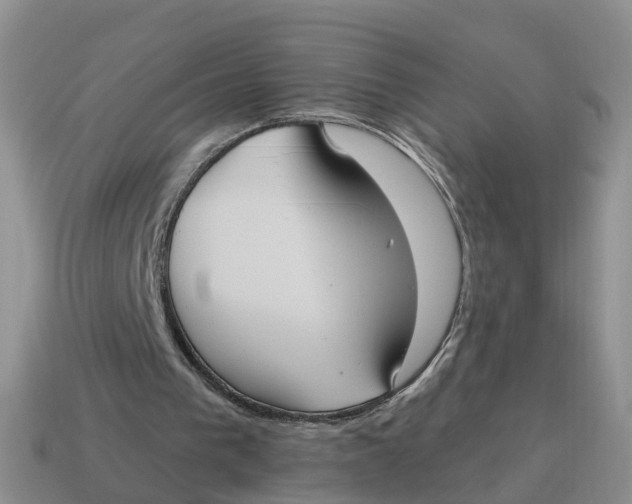 X0000114580193200911091243