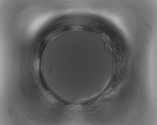 X0000114580194200911091243