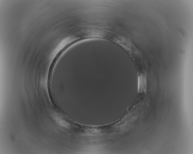 X0000114580195200911091243