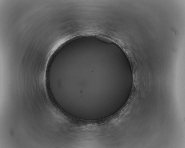 X0000114580196200911091243