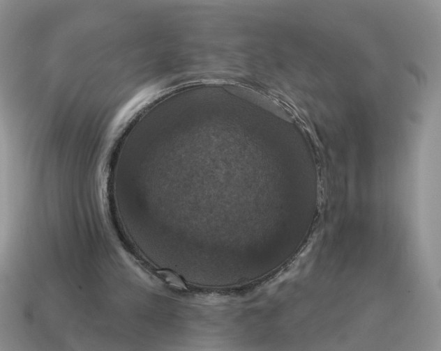 X0000114580197200911091243