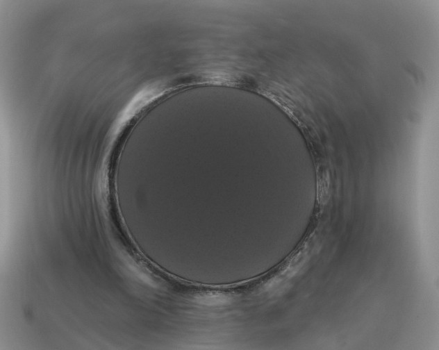 X0000114580198200911091243