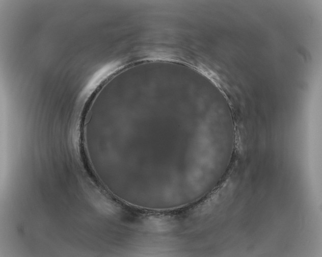 X0000114580199200911091243