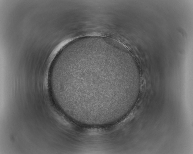 X0000114580200200911091243