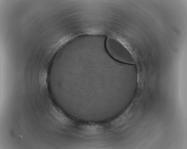 X0000114580201200911091243