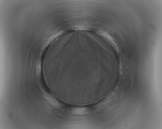 X0000114580202200911091243