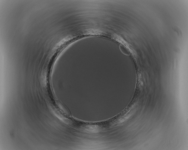 X0000114580203200911091243