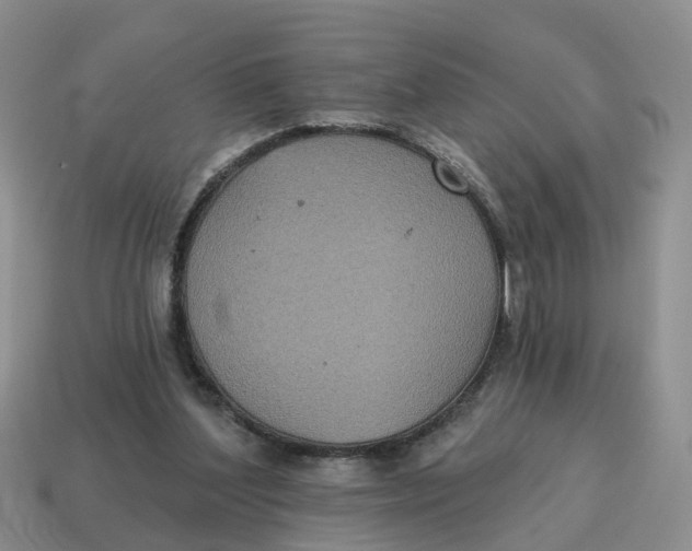 X0000114580204200911091243