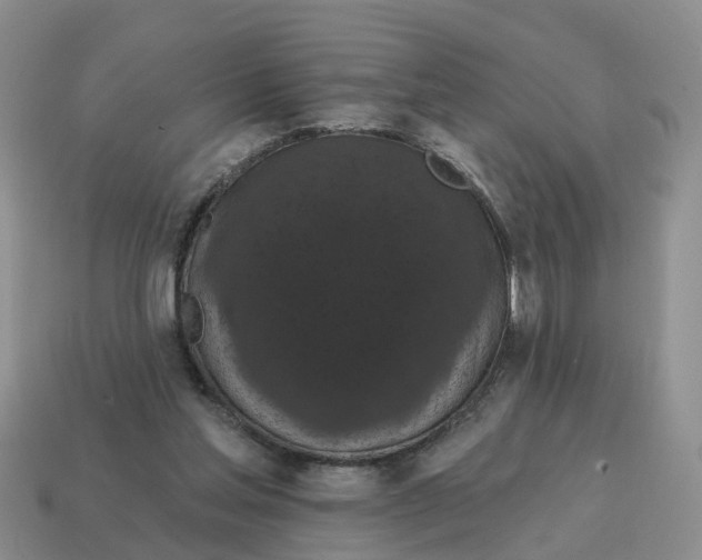 X0000114580205200911091243