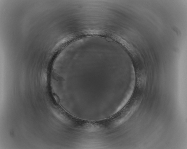 X0000114580207200911091243