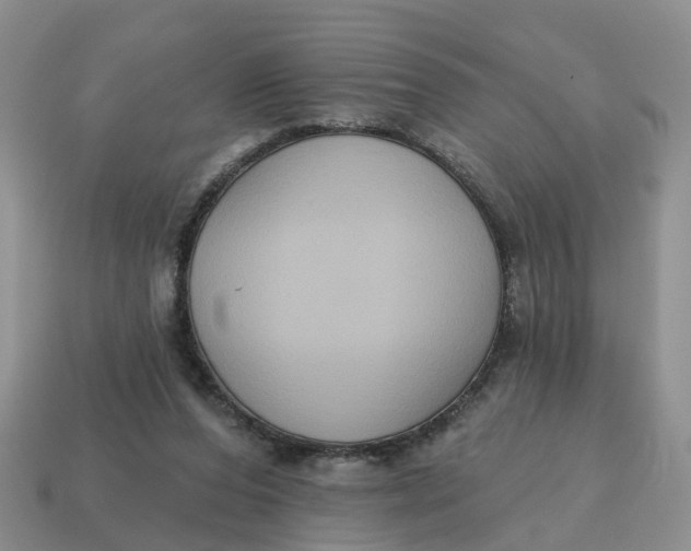 X0000114580208200911091243