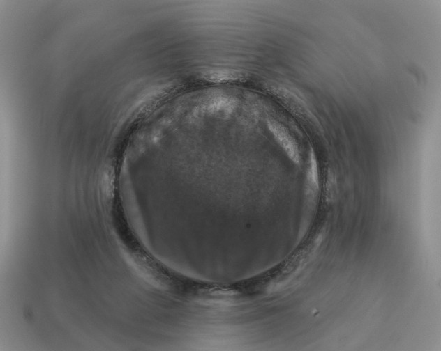 X0000114580210200911091243