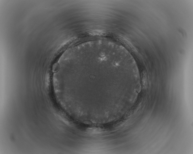 X0000114580211200911091242