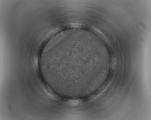 X0000114580213200911091242