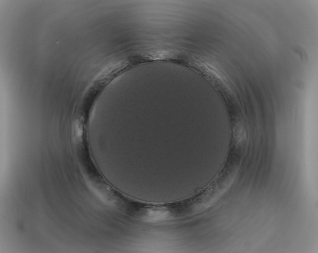 X0000114580214200911091242