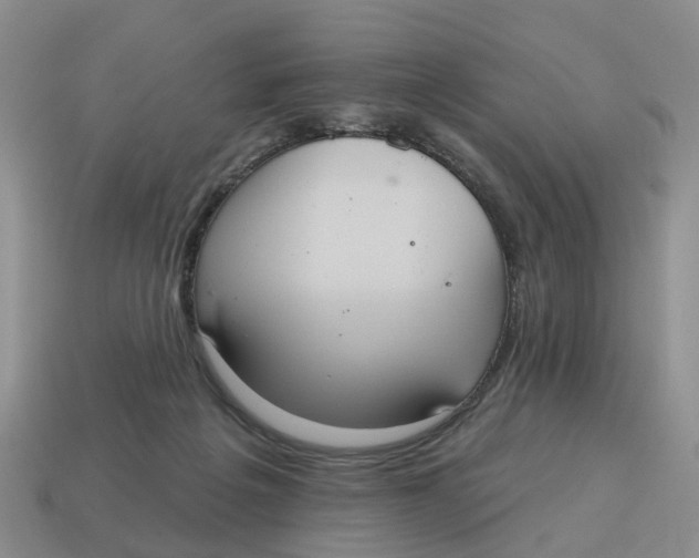 X0000114580217200911091242