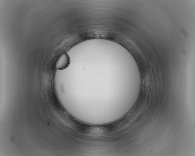 X0000114580218200911091242