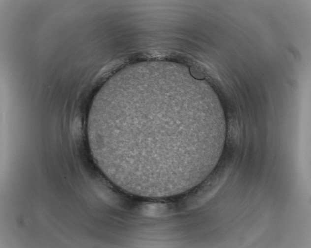 X0000114580220200911091242