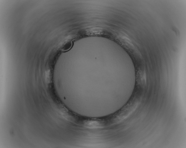 X0000114580224200911091242