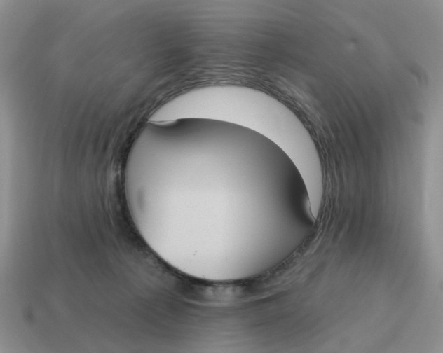 X0000114580225200911091242