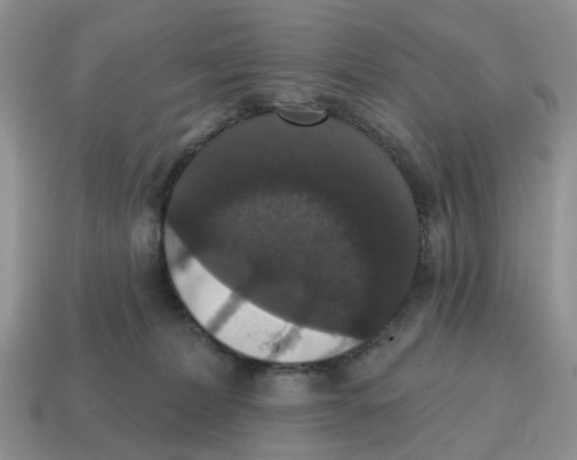 X0000114580228200911091242