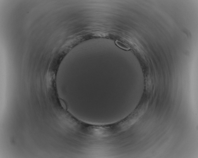 X0000114580229200911091242