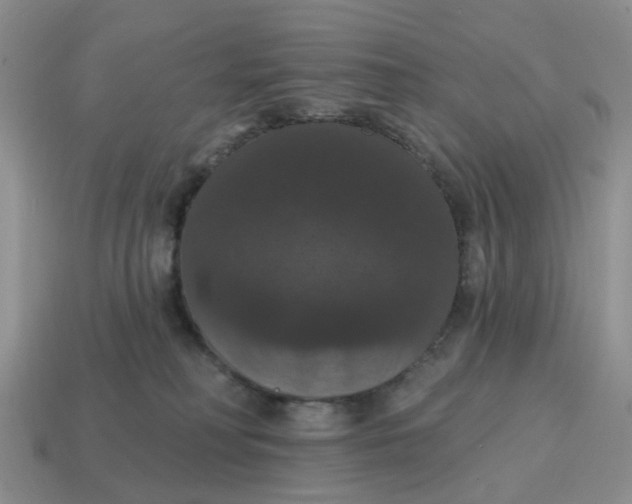 X0000114580230200911091242